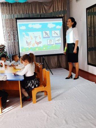 "Үй құстары мен жабайы құстар" атты ашық ұйымдастырылған оқу қызметі
