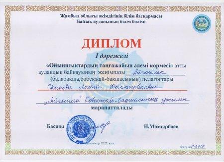 11.02.2022ж Аудандық "Ойыншықтардың таңғажайып әлемі көрмесі" байқауы
